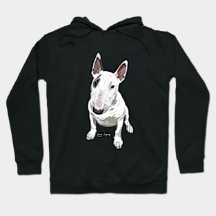 Arlo Hoodie